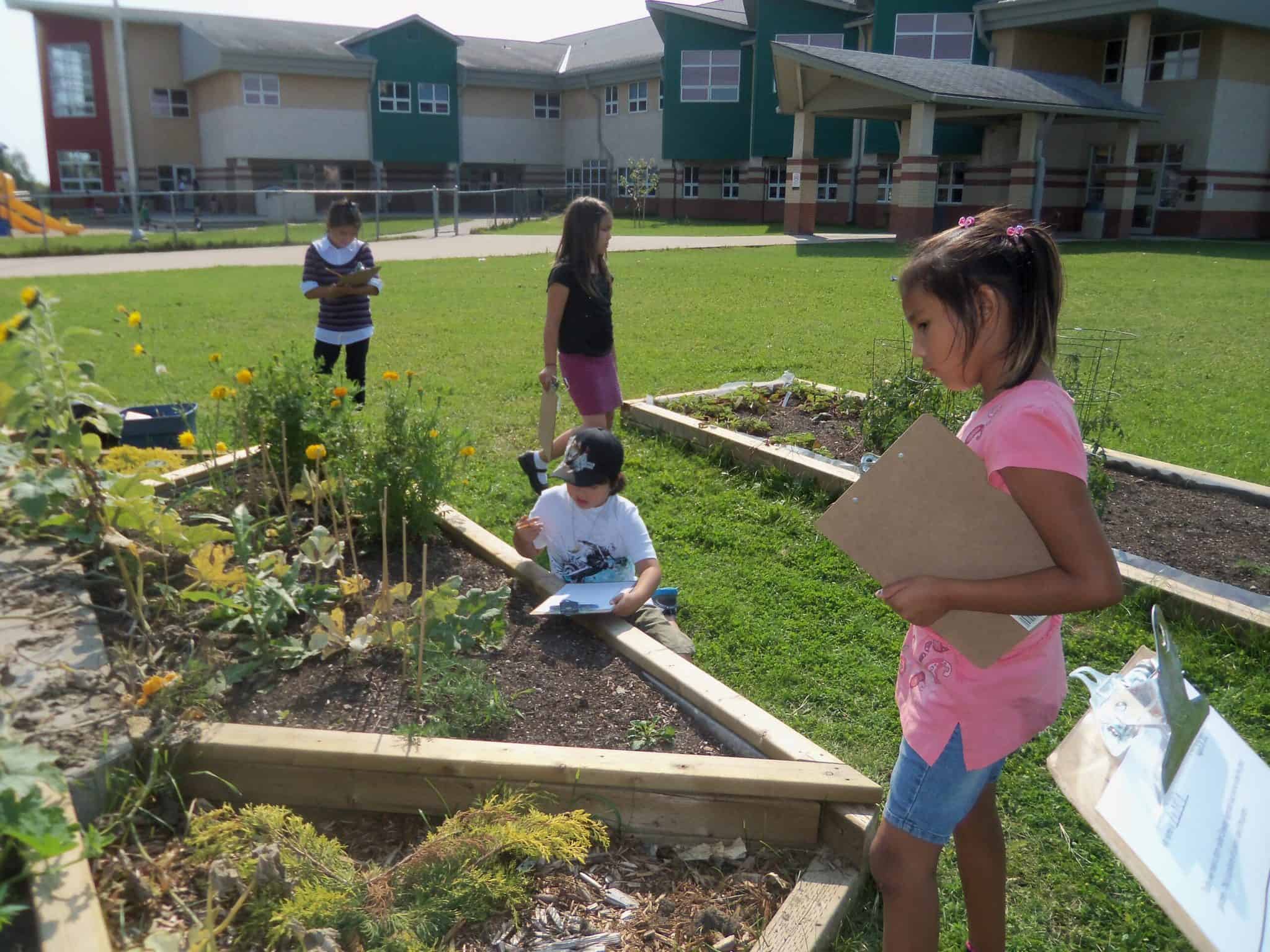 Elementary students at a community garden in Keewatin-Patricia DSB